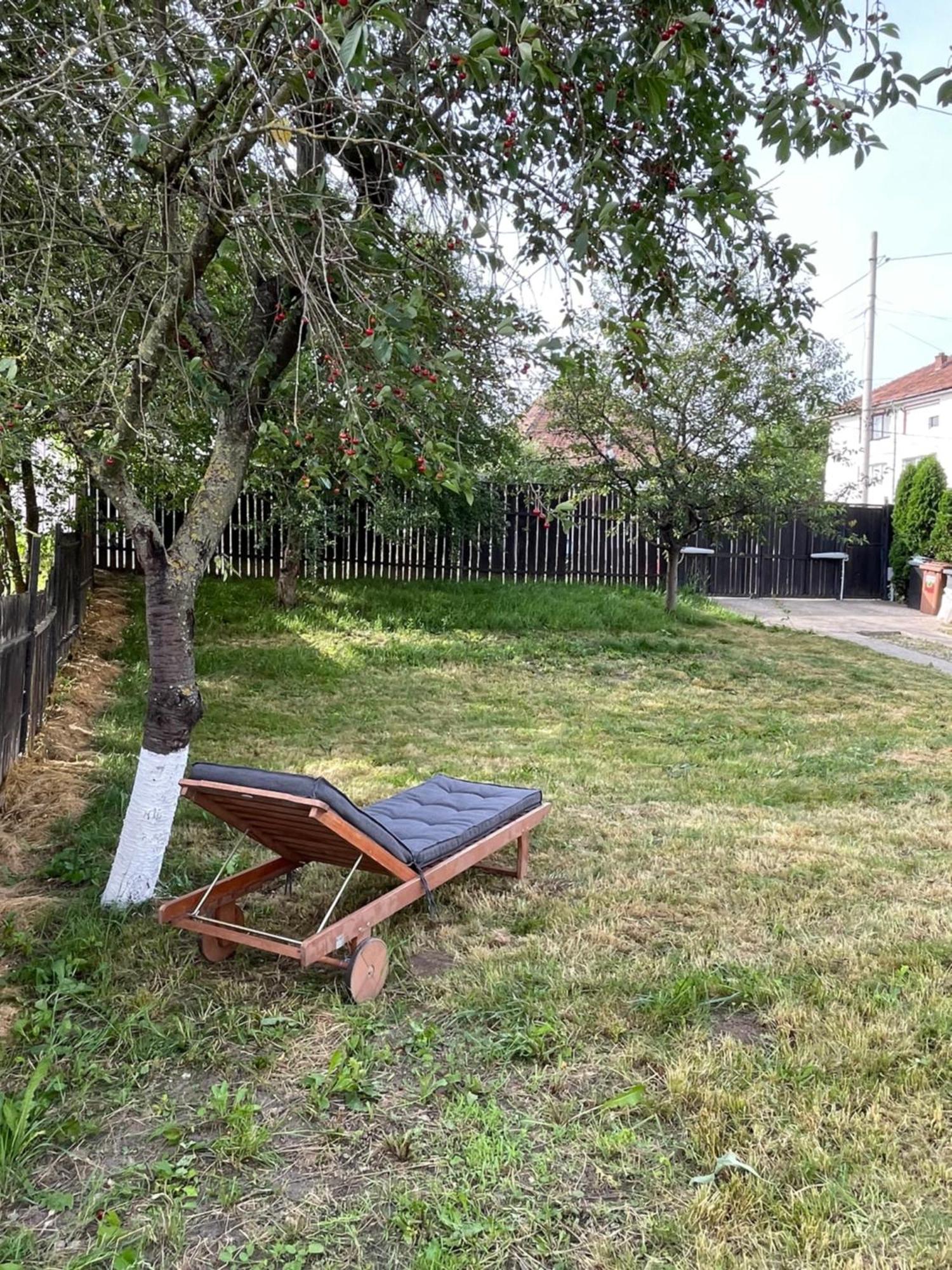 Villa House Of Joven Mediaş Exterior foto
